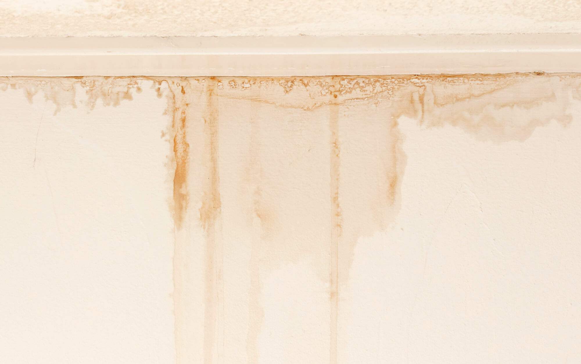 wall that leaks water and needs water damage restoration