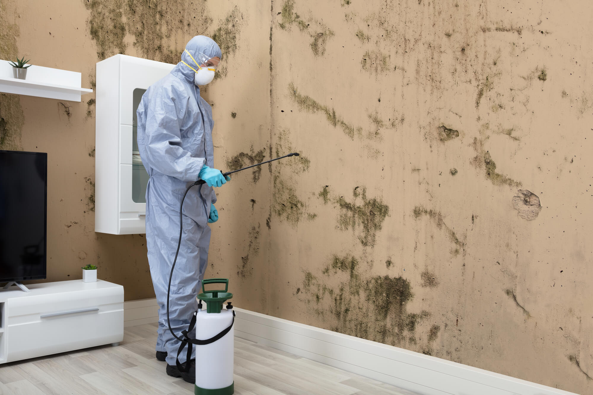 Commercial Mold Remediation A StepbyStep Guide to Protecting Your