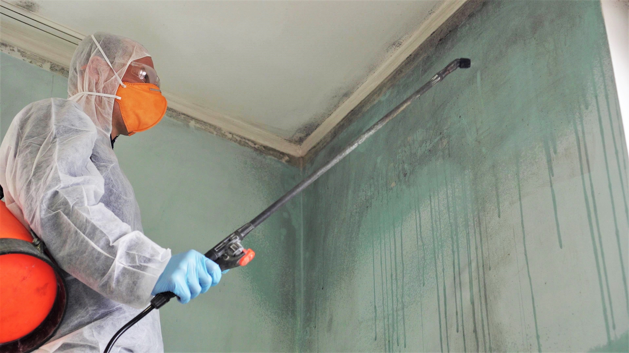 Professional performing mold remediation in Georgia